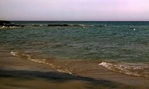Centro Petraglia - onda del mare